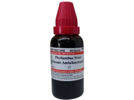 Dr. Willmar Schwabe India Phyllanthus Niruri Mother Tincture Q Online