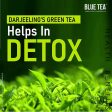 Blue Tea Organic Dandelion Green Tea Bags For Discount