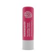 Mamaearth Vitamin E and Raspberry Tinted 100% Natural Lip Balm on Sale