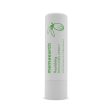 Mamaearth Vitamin E and Shea Butter Natural Lip Balm Online